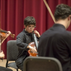 Musicians playing strings at a performance